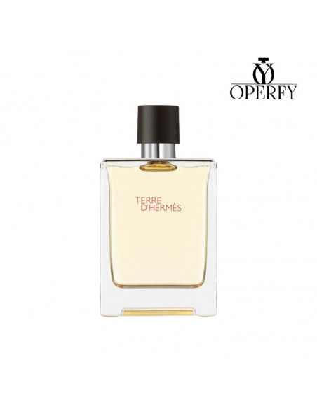 Perfume Terre D'Hermes