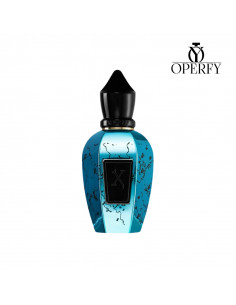 Perfume Xerjoff Groove Xcape 100ML - Unisex