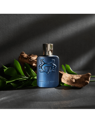 Perfume Parfums de Marly Layton 120ml EDP - Hombre