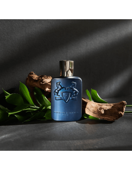 Perfume Parfums de Marly Layton 120ml EDP - Hombre